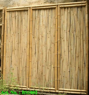 Bamboo Screen