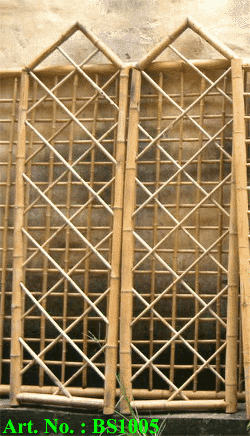 Bamboo Screen