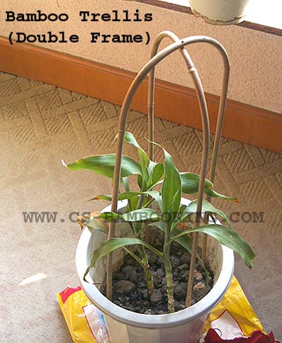 double frame